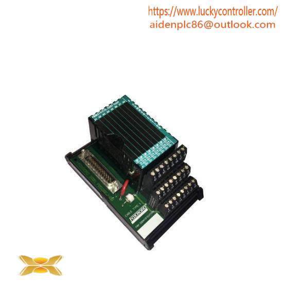 P0916BX  I/A Series Module  Foxboro