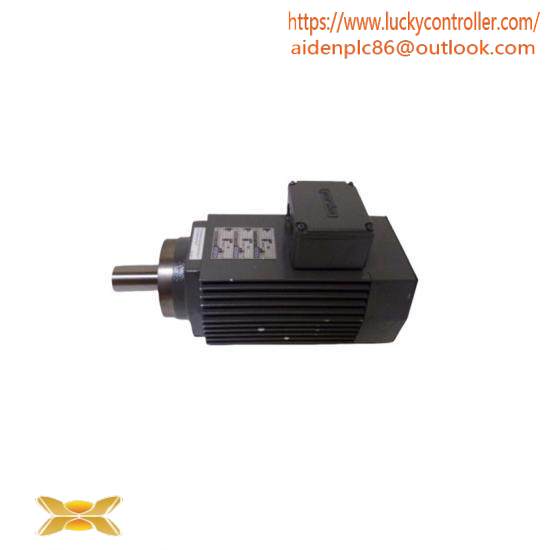 Brailsford T-4NLS Motor