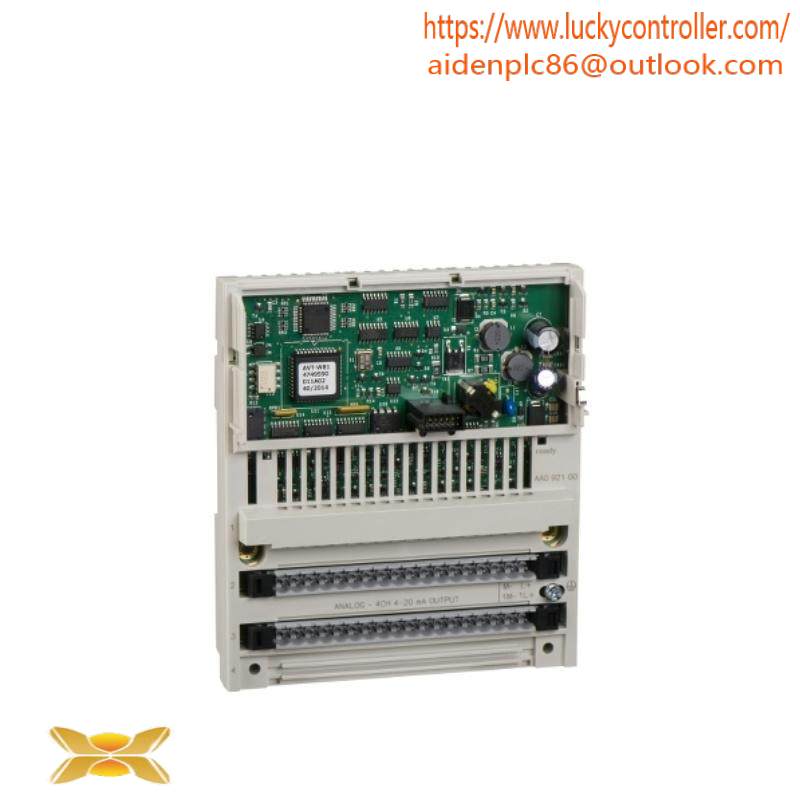 Schneider 170AAO92100 Analog Output