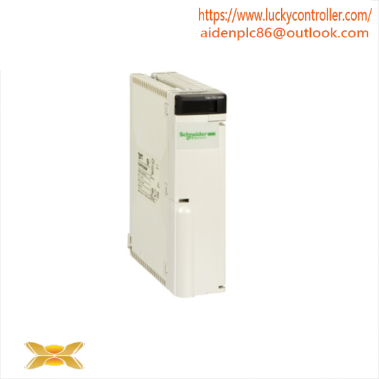 SCHNEIDER AS-BDAP-218