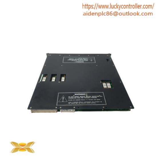Triconex 4119 Enhanced Intelligent Module
