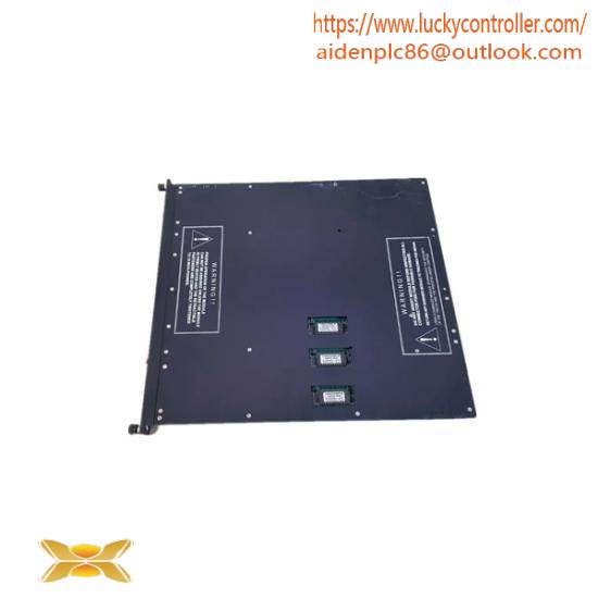 TRICONEX 9563-810