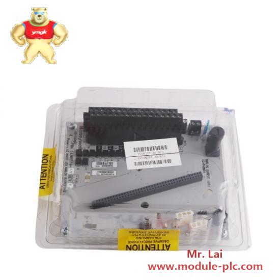 Honeywell DC-TAON01  Digital Module