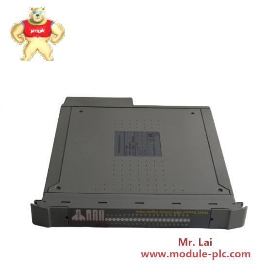 ICS Triplex Trusted T8423 Digital Input Module