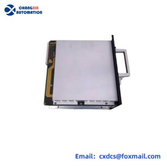 TEAM BL0308 PC0014-P