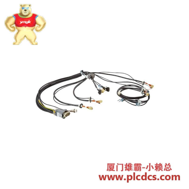 ABB ABB 3HAC022544-001 Cable harness