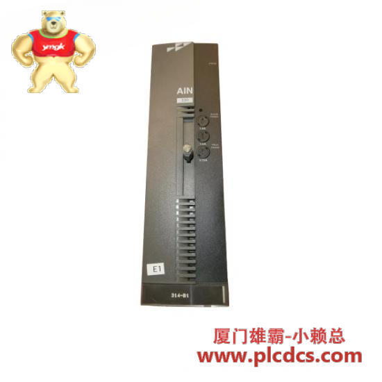 ABB ABB P-HB-AIN-22010000 PHBAIN22010000 Analog Input Module - Harmony Block I/O