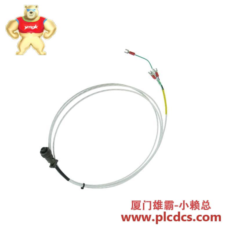 Bently nevada 16925-20