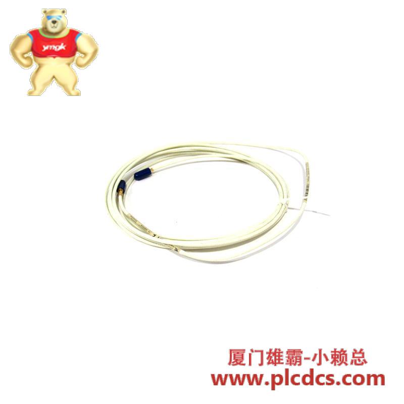 Bently Nevada 21747-045-00