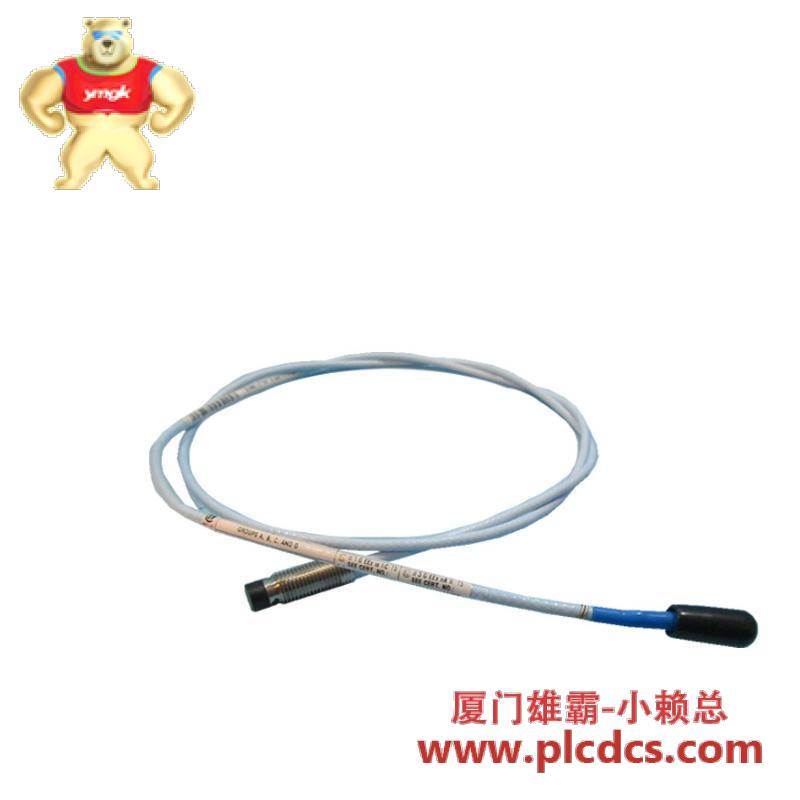 Bently Nevada 330101-00-10-10-02-05