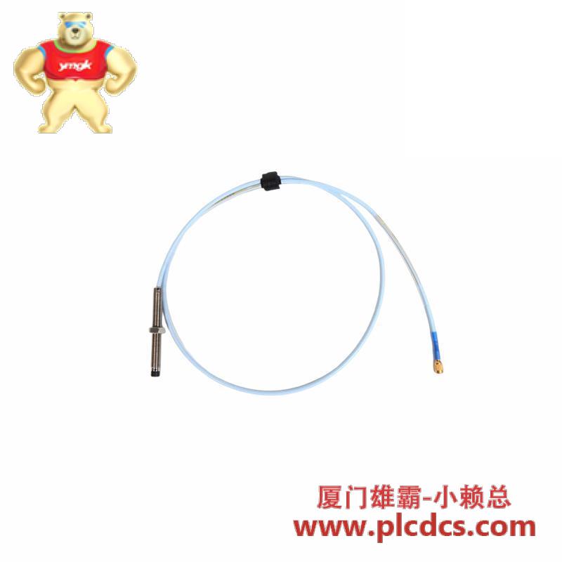 Bently Nevada 330101-00-30-10-02-05