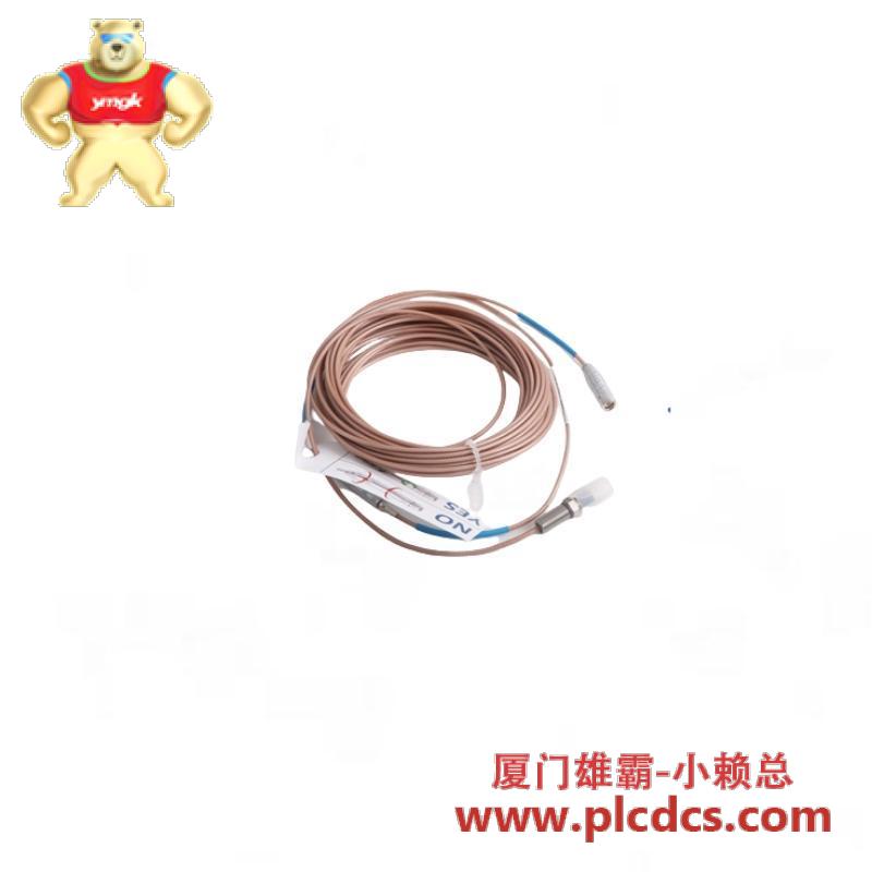 EMERSON MVME61006E-0163