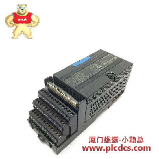 GE GE Fanuc IC200MLD650  24VDC Input Modules