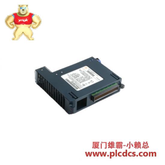 GE GE IC695ALG600 Analog Input Module