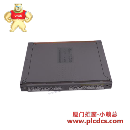 PLC ICS T8111C Processor