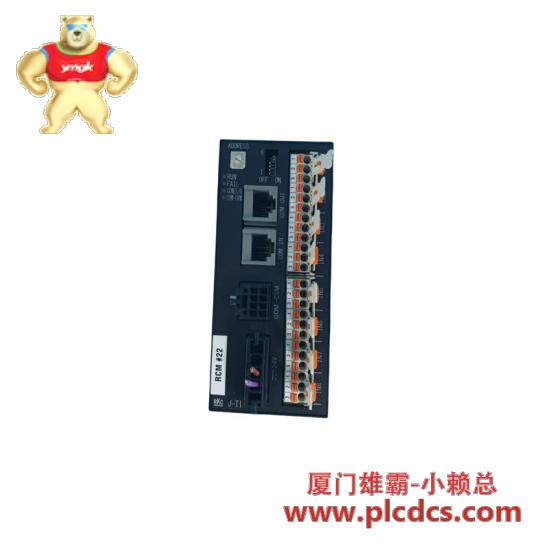 Others RKC H-TI0-D-WD21-V8*NN