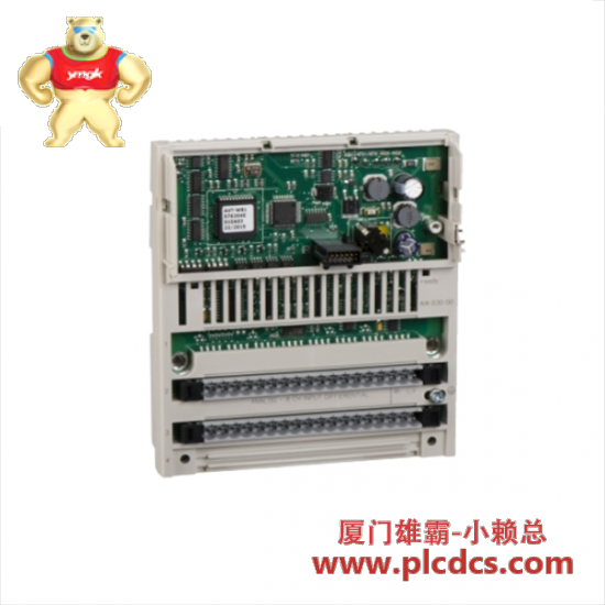 Schneider SCHNEIDER 170AAI03000 distributed analog input