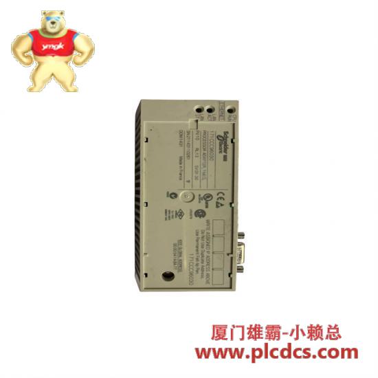 Schneider Schneider Electric 171CCC96030 Processor Adaptor