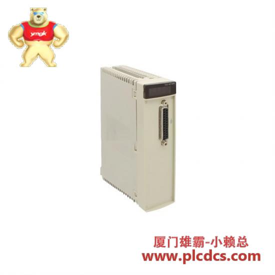 Schneider Schneider Electric TSXAEY420 Analog input module