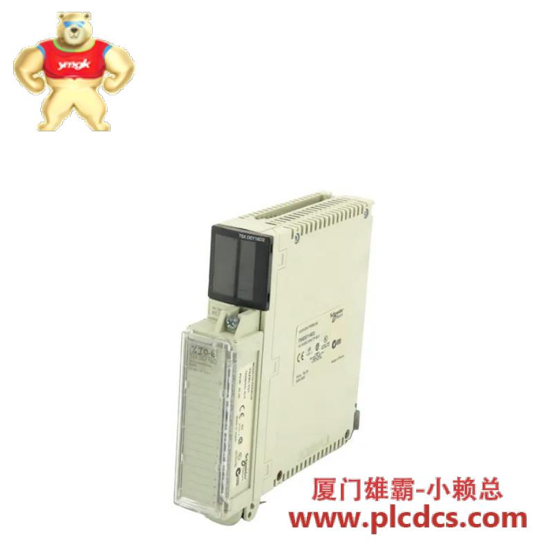 SCHNEIDER TSX08CD08R6AC