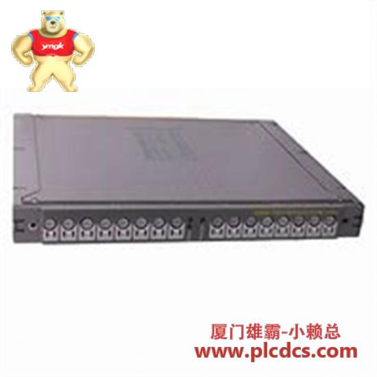 Others T8451 Digital Output Module