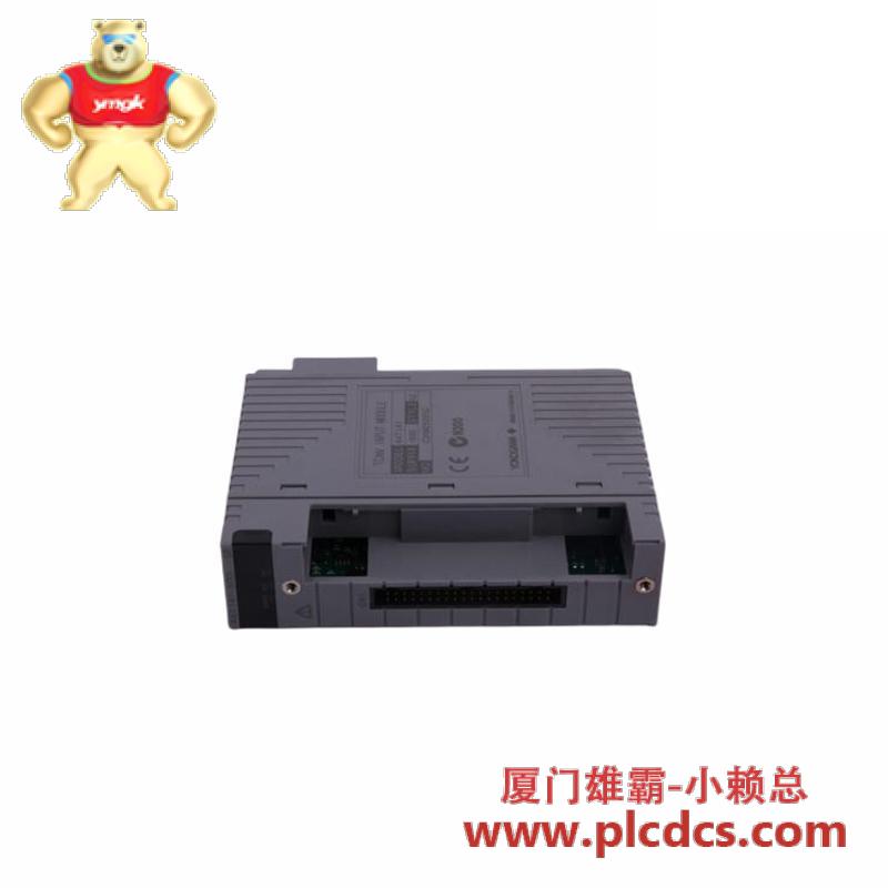 YOKOGAWA Yokogawa AAI543-H50 S1 Analog Output Module