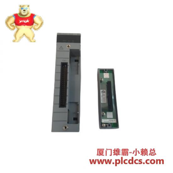 YOKOGAWA Yokogawa SEA4D-11  Bus Interface Module