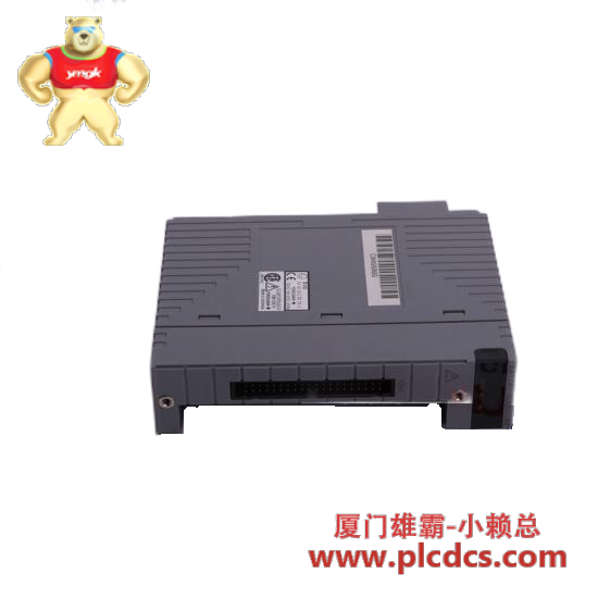 YOKOGAWA Yokogawa ADV569-P00 S1 Digital Output Module