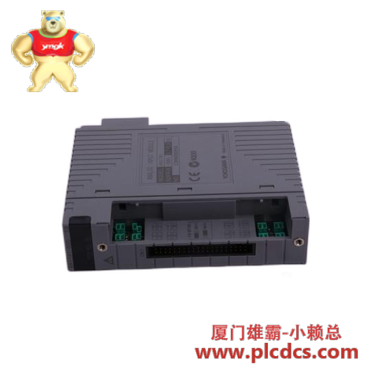 YOKOGAWA Yokogawa ATA4S-00 S2 Analog Input Module