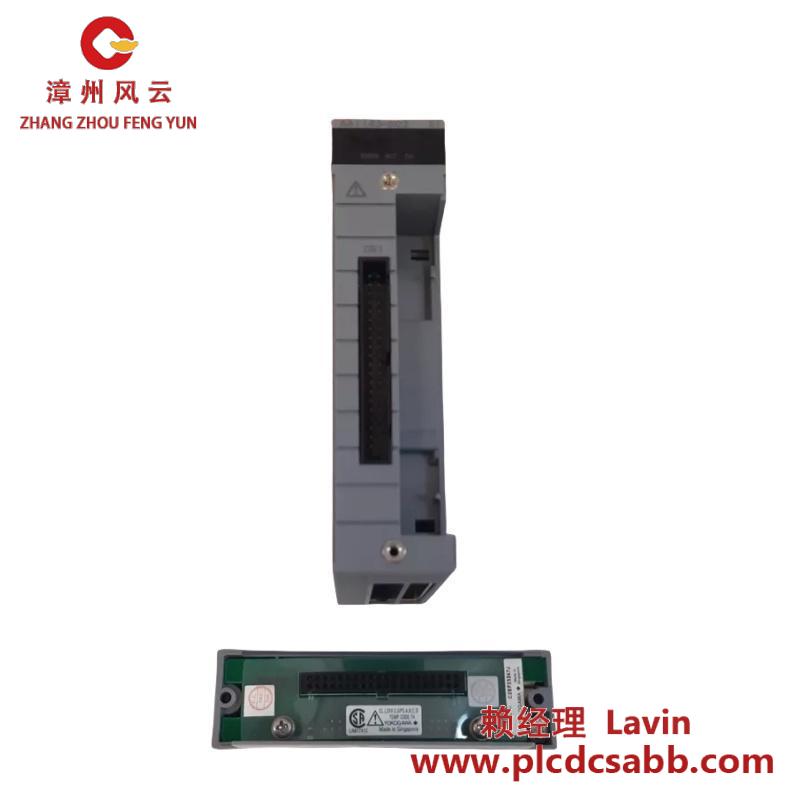 YOKOGAWA AAI143-S03 S1