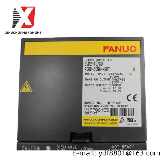 Fanuc A06B-6096-H207  GE Servo Module