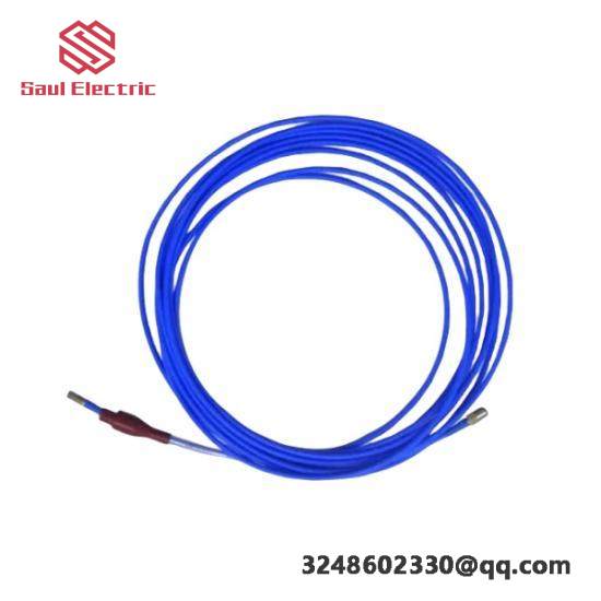 TM032-A00-B00-C00-D00-E00-F00-G00  Bently Nevada Extension Cable