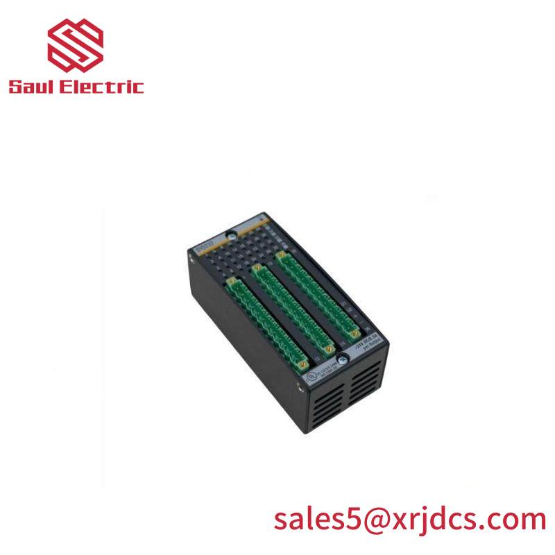 Bachmann DI0232 Digital Input/Output Module