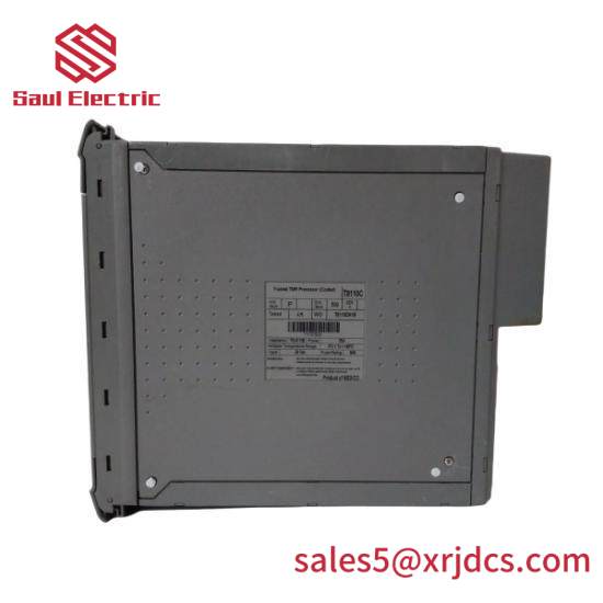ICS TRIPLEX T8110C