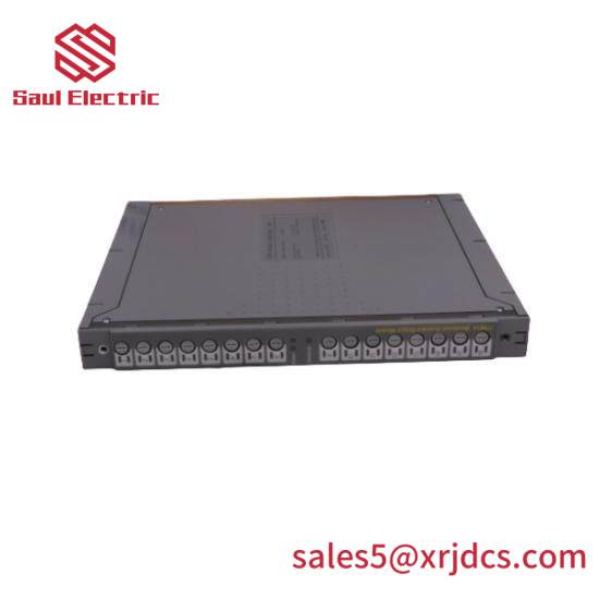 ICS TRIPLEX TC-301-02-2M0