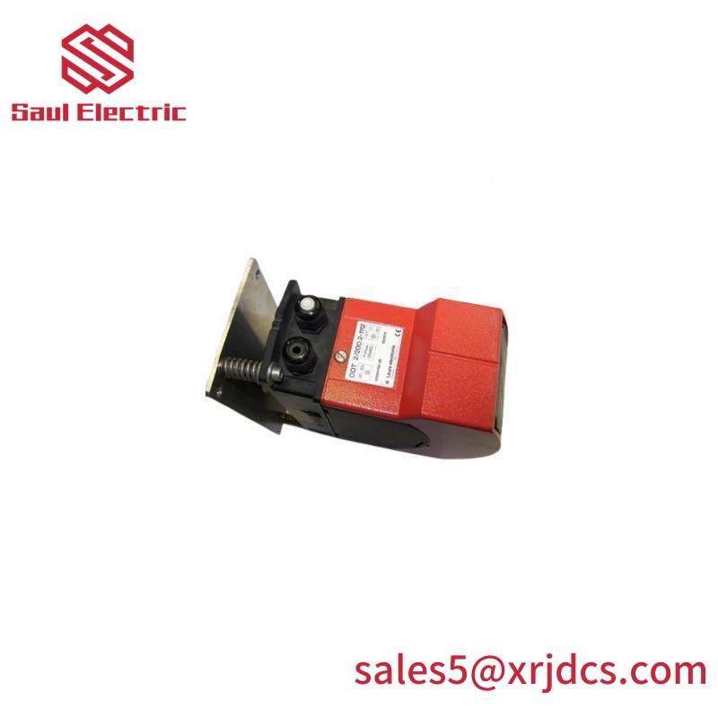 LEUZE DDLS 200/200.2-50-M12