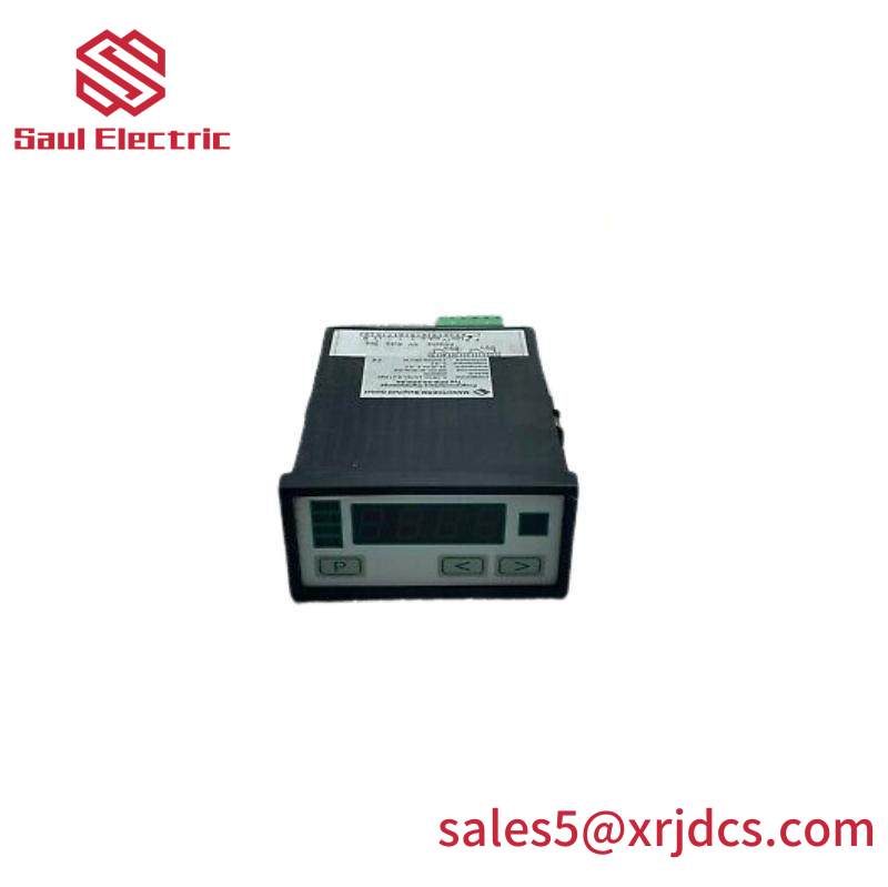 NEGELE PROZESSORANZEIGE DPM-GS-2GW-S Digital Display