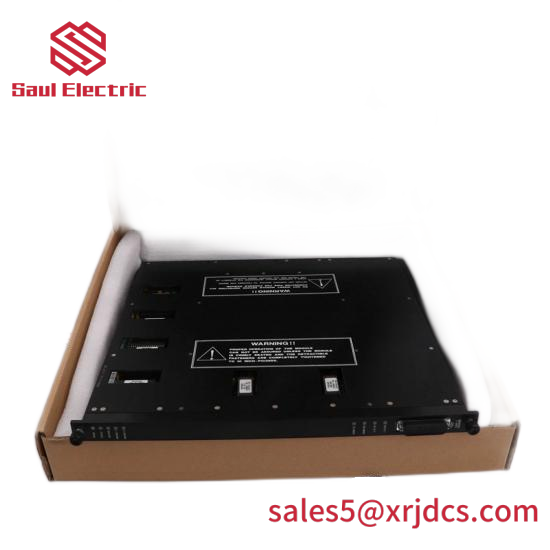 TRICONEX MP6004