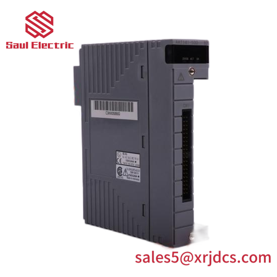 Yokogawa AAI543-S00 S1 FCS System