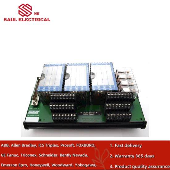 P0916NG  I/A Series Module  Foxboro