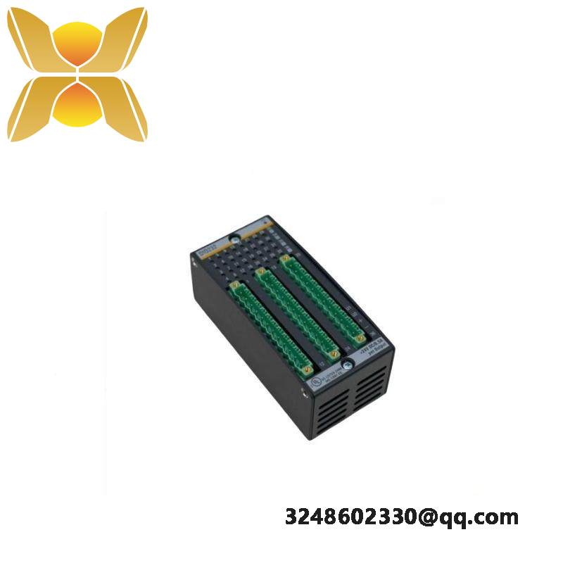 Bachmann DI0232 Digital Input/Output Module