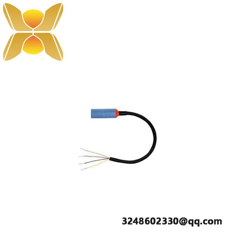 E+H CYK10-G101 Digital Measuring Cable