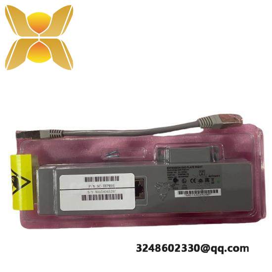HONEYWELL 51304199-300