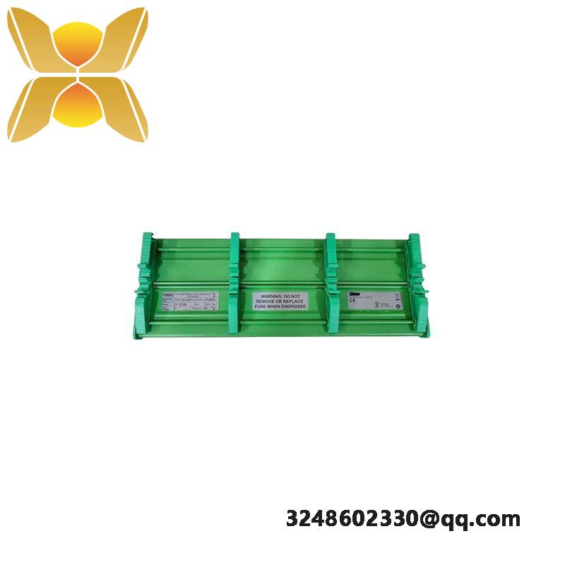 ICS Triplex T8800C Digital Input FTA