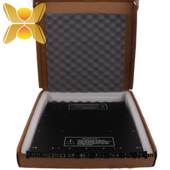 Foxboro RLY4 2500M/RLY4