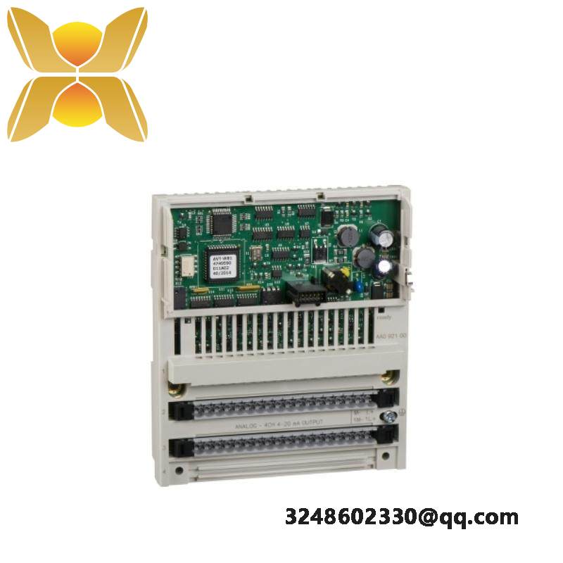 Schneider 170AAO92100 Analog Output