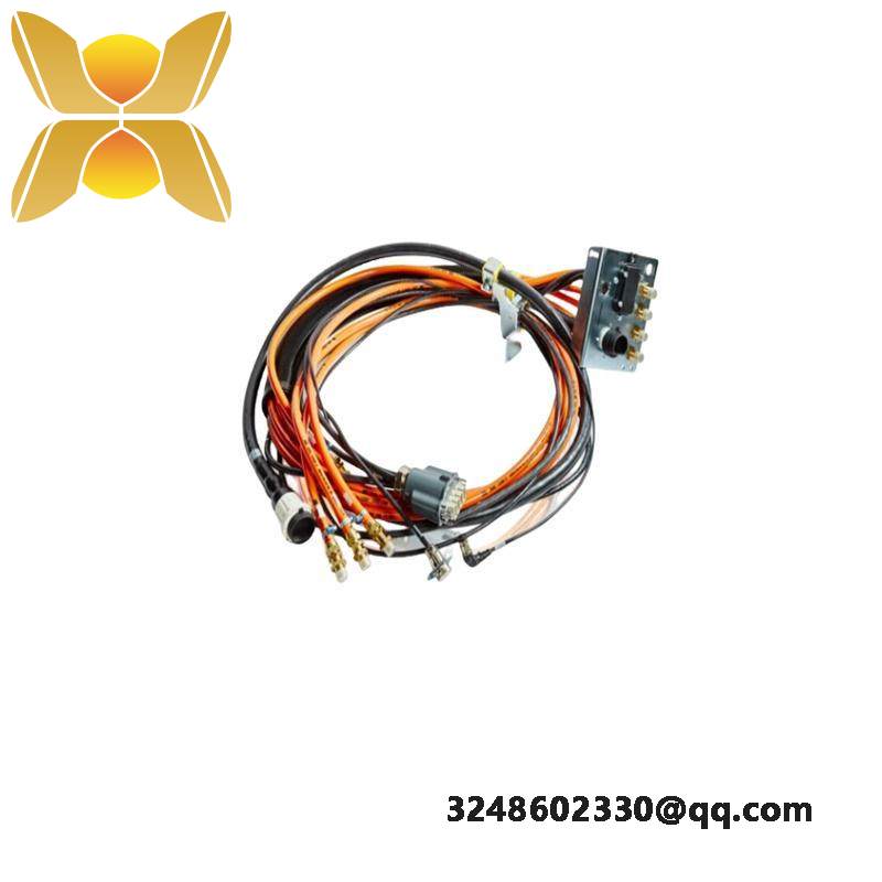 TRICONEX 2481