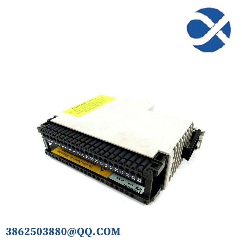 Schneider AS-BDAU-204 ANALOG OUTPUT MODULE