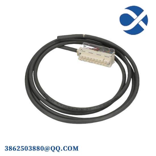Schneider BMXFTW301S Analog Input/Output Module Connection Cable