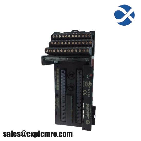 GE FANUC IC200CHS022 Controllers